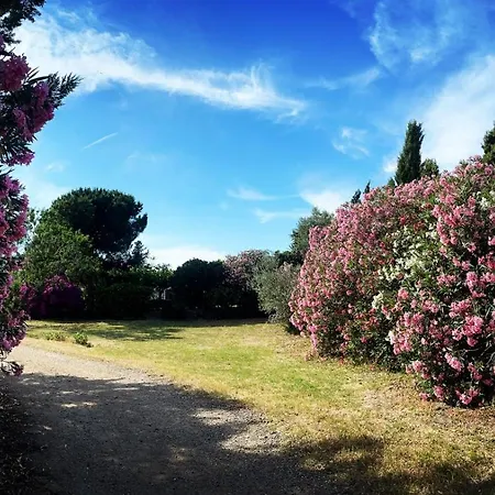 Wancho Holiday home Botarell