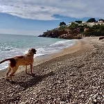 Сasa de vacaciones Wancho Botarell